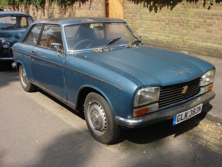 Vue latérale d'une Peugeot 304 coupé, idéale pour illustrer un guide d'achat